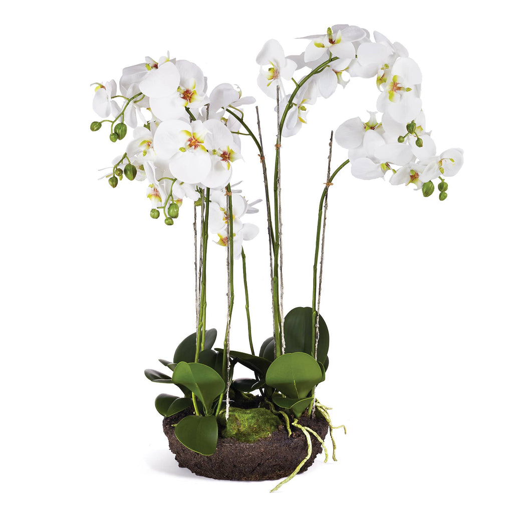 Napa Home & Garden - Phalaenopsis Bowl Drop-In 31.5"