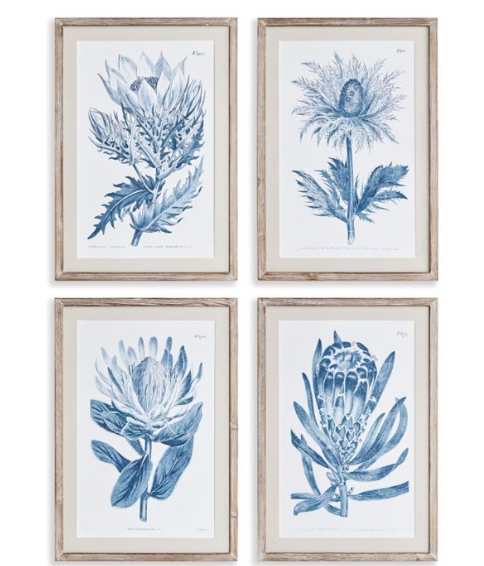 Indigo Protea Prints, Set of 4-Napa Home & Garden